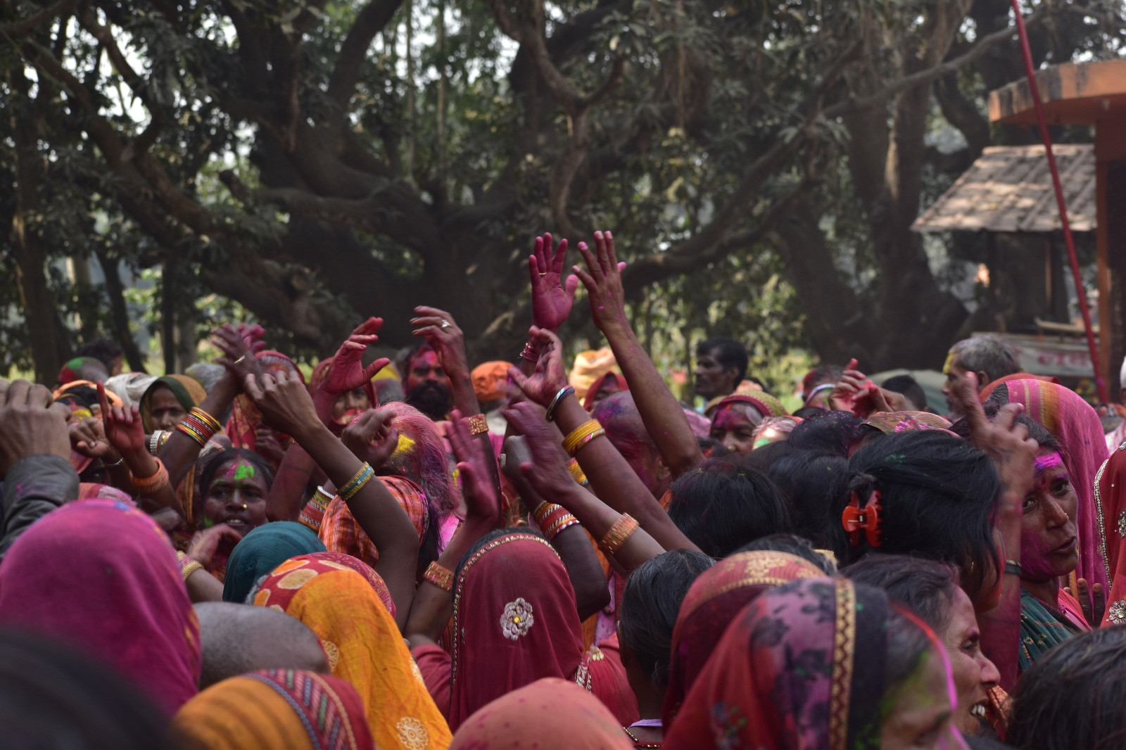 फाइल तस्बिर सौजन्य: बुधेश्वर रजक।